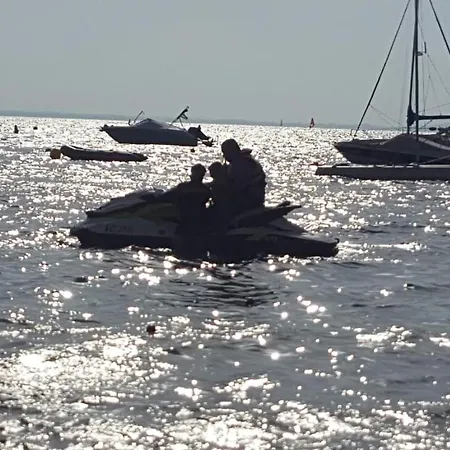 Jardin Del Mar 7.5